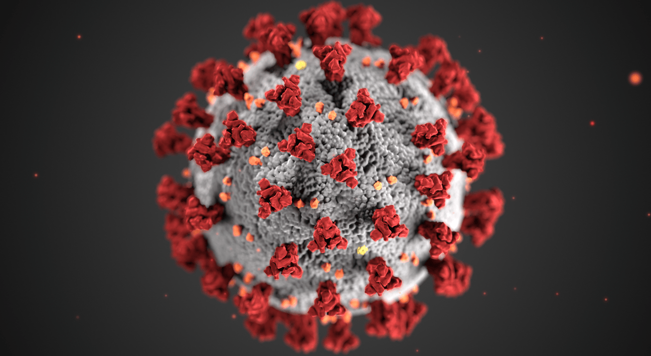 Illustration, created at the Centers for Disease Control and Prevention (CDC), reveals ultrastructural morphology exhibited by coronaviruses.